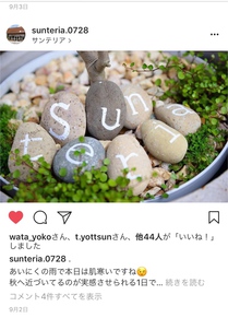 インスタグラム