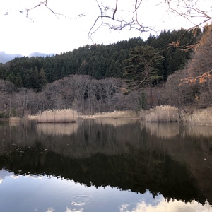  空カフェ