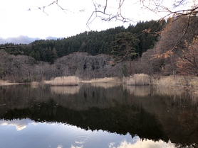  空カフェ