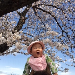 もはや3月