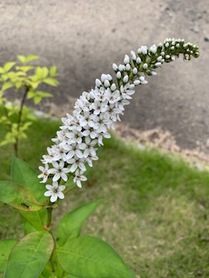 気持ちを大切に