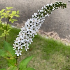 気持ちを大切に