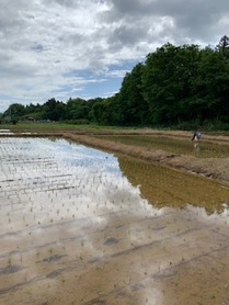 第一次産業