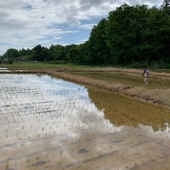 第一次産業