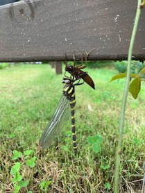 友よ、本当の空へ飛べ！