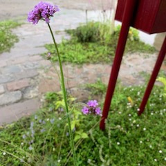 雨も降るさ