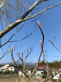 4月から5月へ